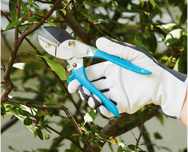 Bypass or Anvil Pruners