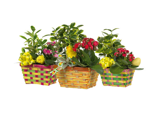 Blommor i påskkorg