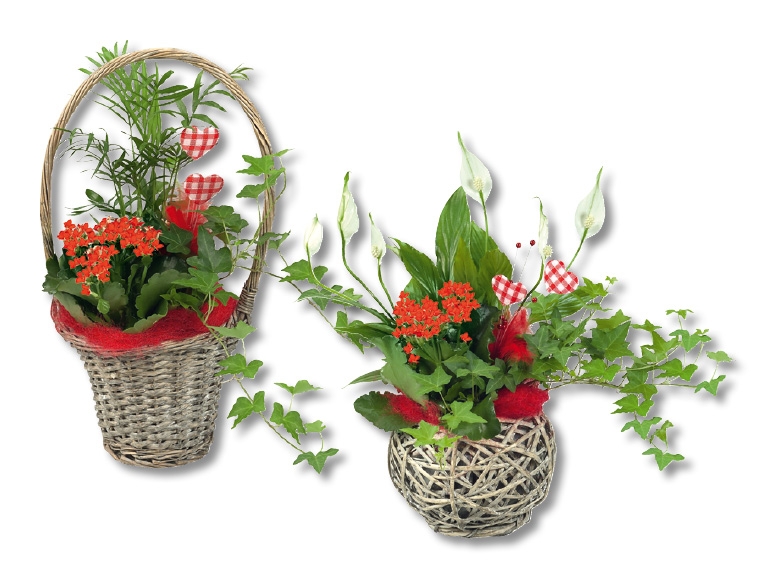 Corbeille de la fête des mères
