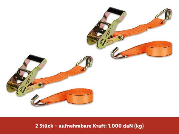 Ratschenspanngurte-Set