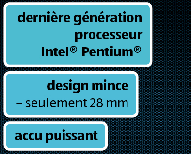 Ordinateur portable 43,9 cm (17,3") MEDION(R) AKOYA(R)