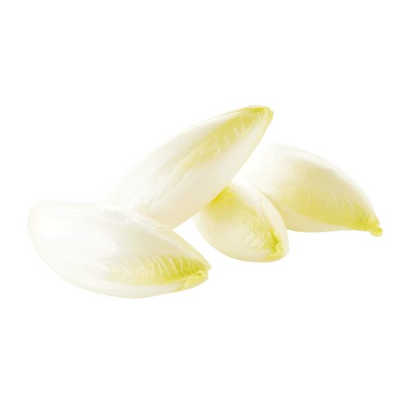 Witloof