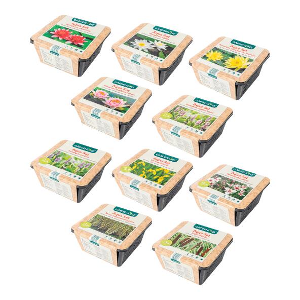 GARDENLINE(R) 				Plante aquatique