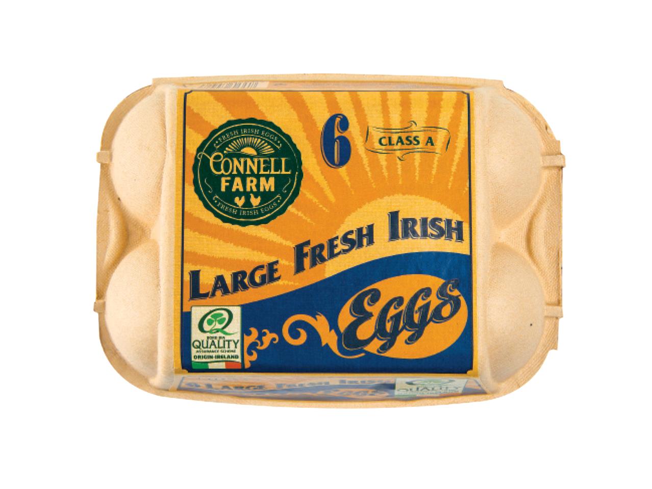 CONNELL FARM Large Fresh Eggs