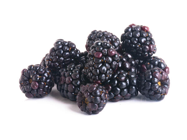 Mûriers