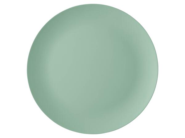 Reusable plate, bowl or tumbler
