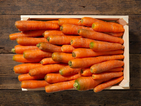 Carottes bio