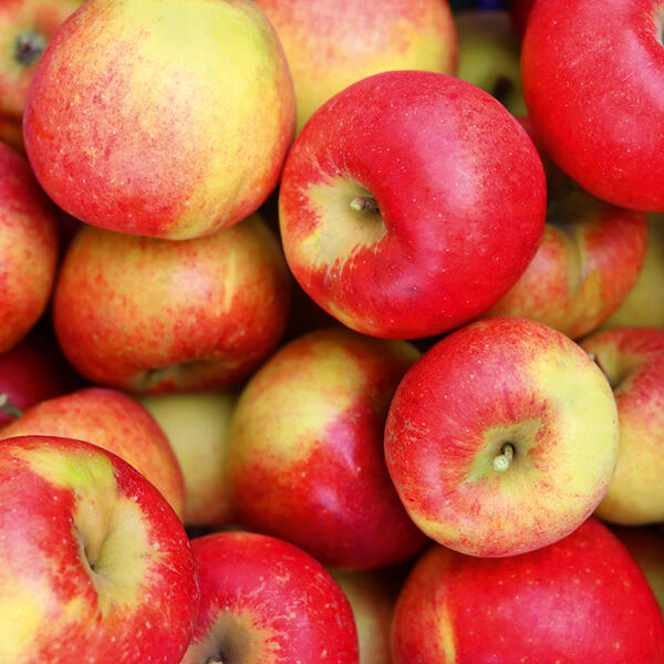 Herbstäpfel