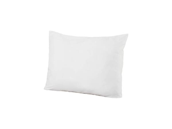 Pillow, 50 x 80cm
