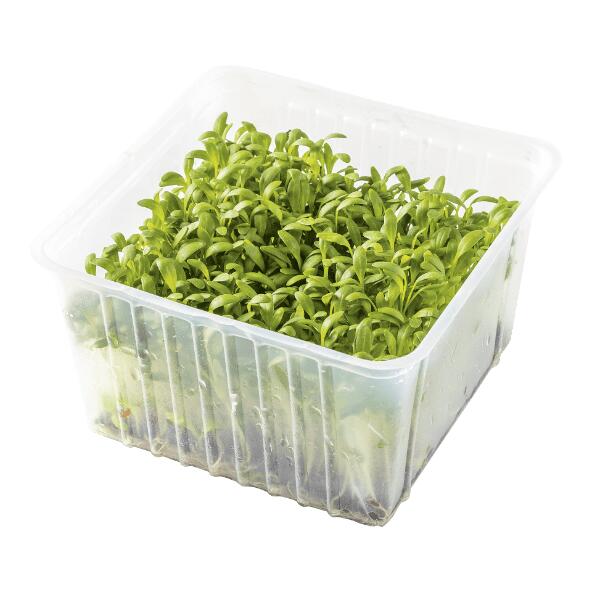 Gartenkresse