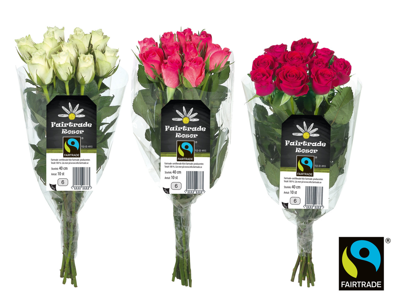 FAIRTRADE ROSOR, 40 CM