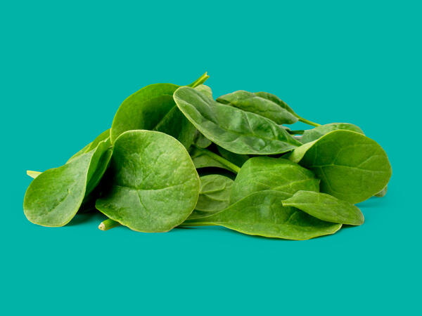 Baby Leaf Spinach