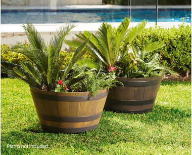 Whiskey Barrel Planter