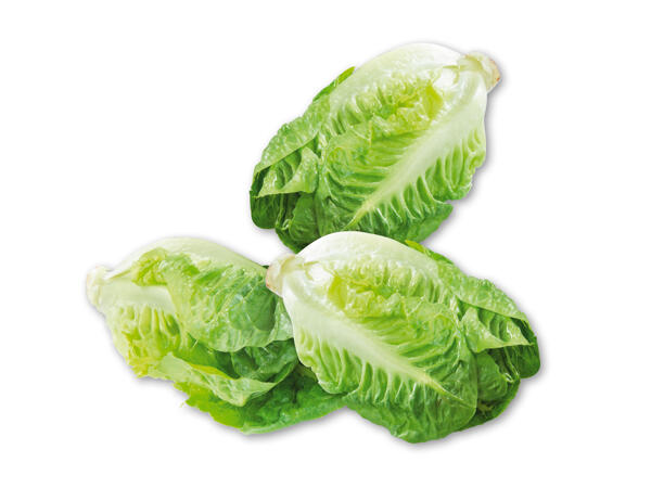 Økologisk hjertesalat