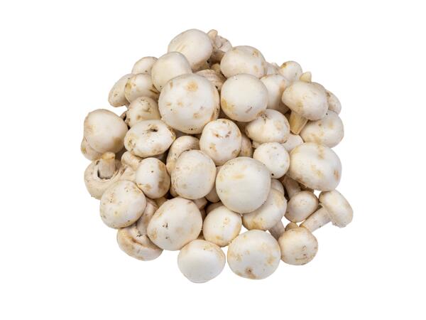 Ciuperci Champignon albe