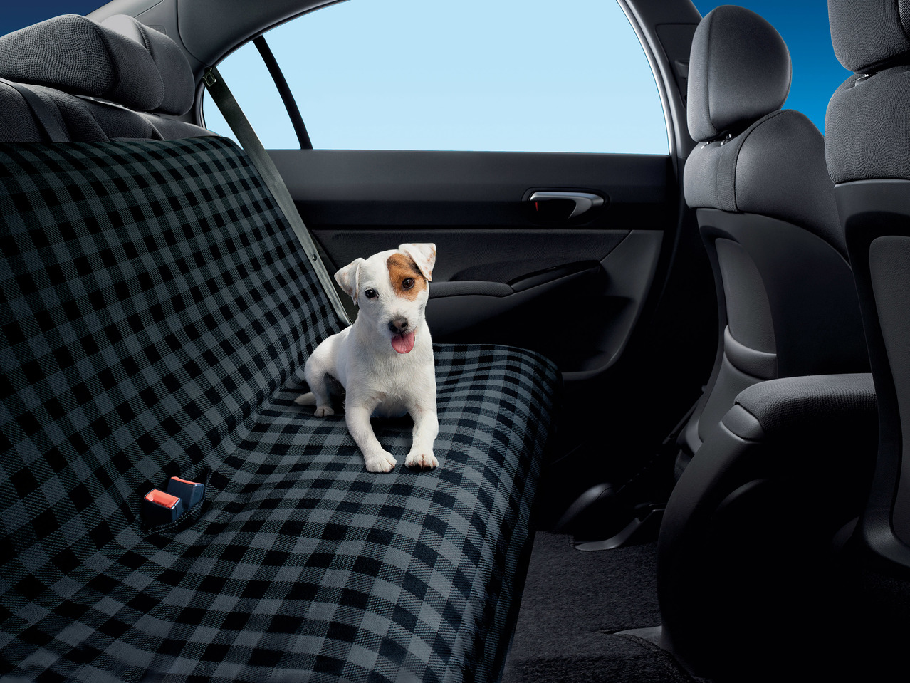 Zoofari Pet Car Seat Cover1