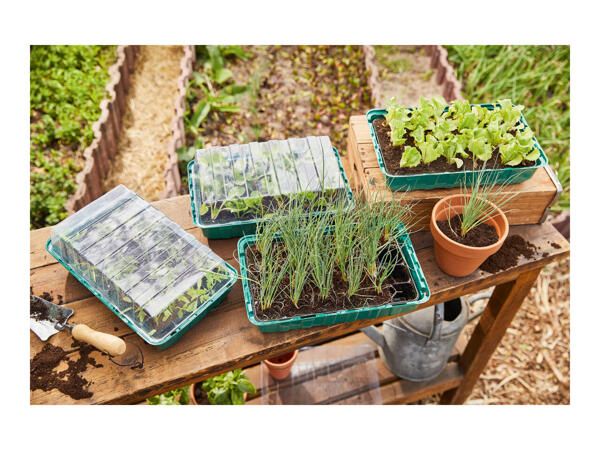 Parkside Propagator