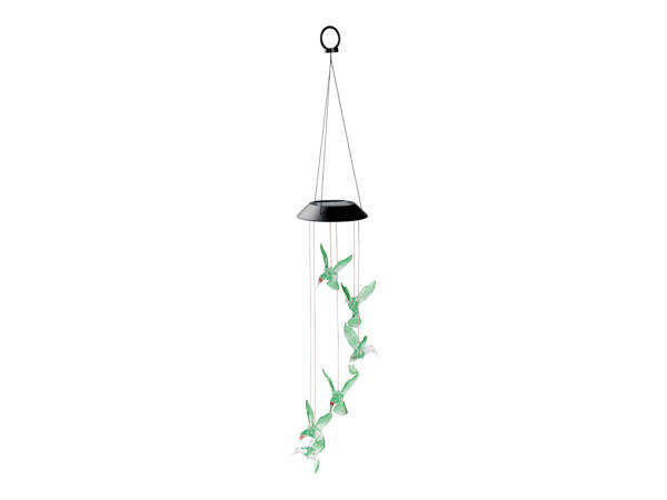 Solar Light Decoration