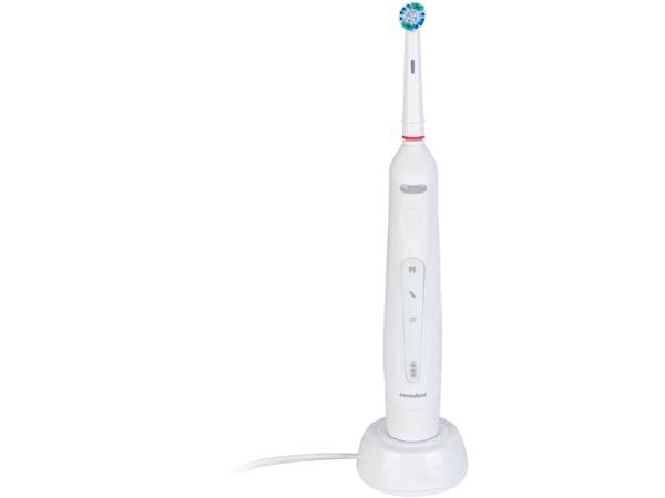 Electric Toothbrush