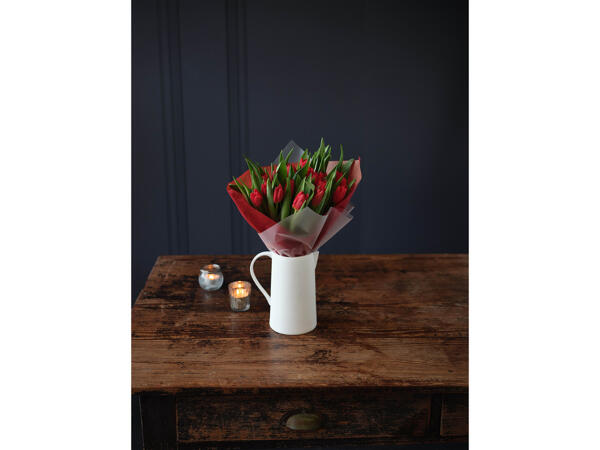 Valentine's Tulips