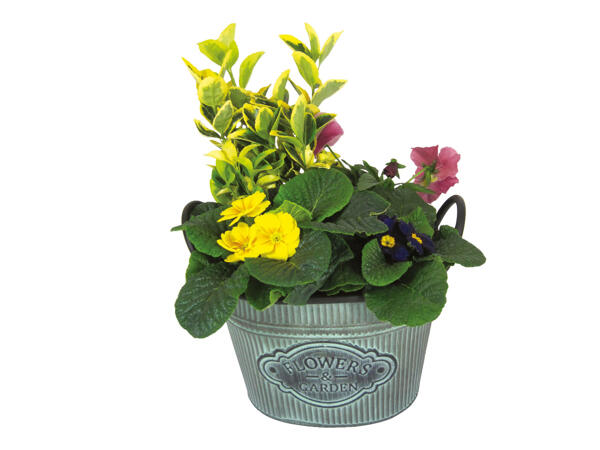 Flowers & Garden Planter