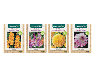 Dahlia and Gladioli Packet Bulbs