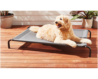 Elevated Pet Bed