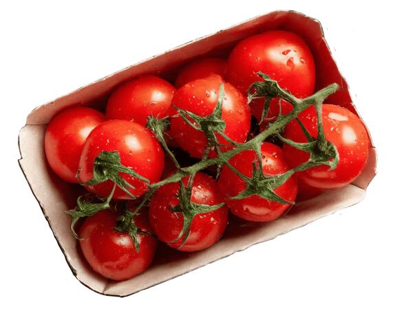 Cocktailstrauchtomaten aus Österreich