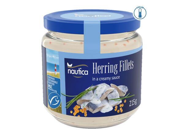 Nautica MSC Hering