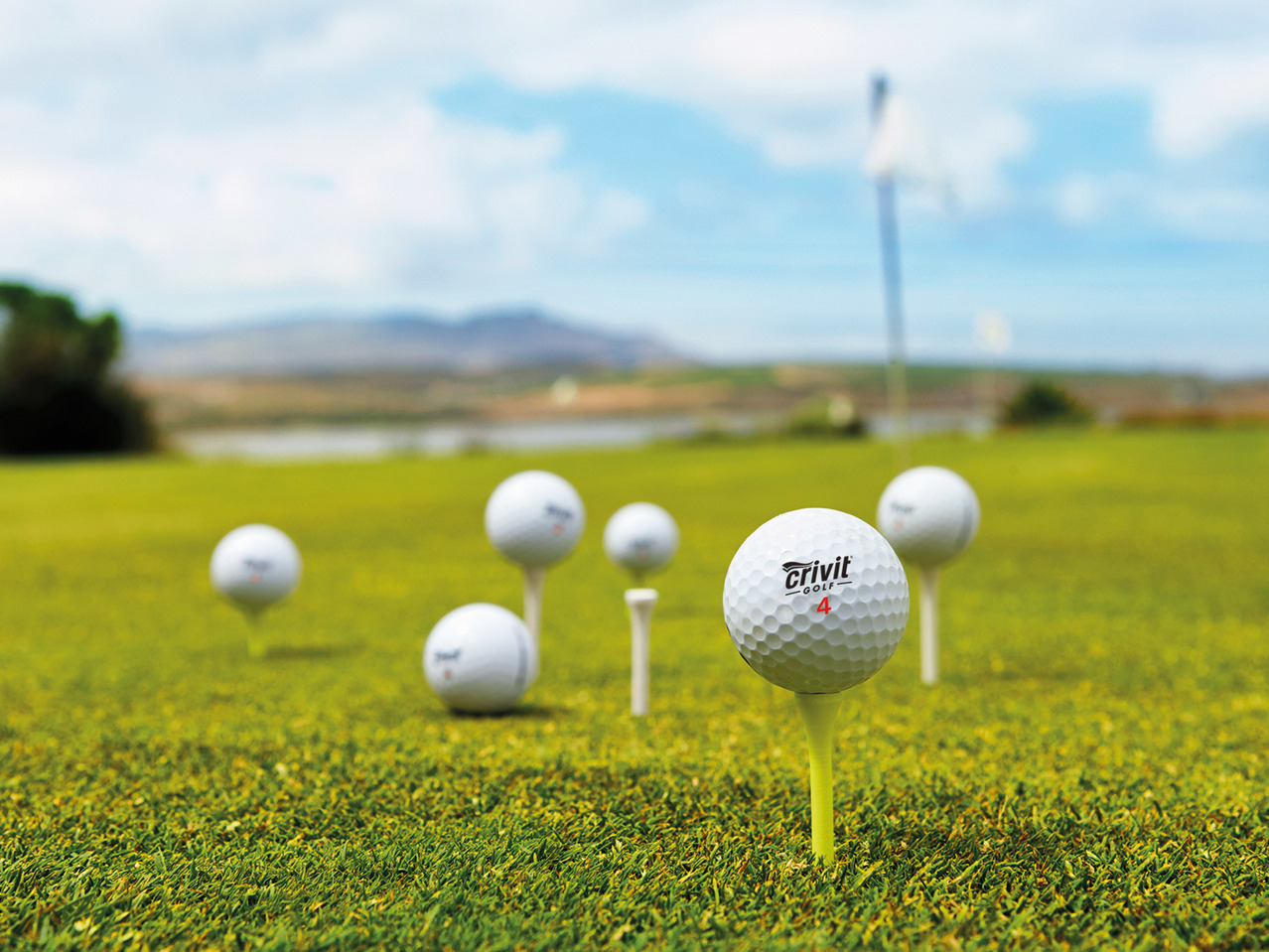 Crivit Wooden Tees1