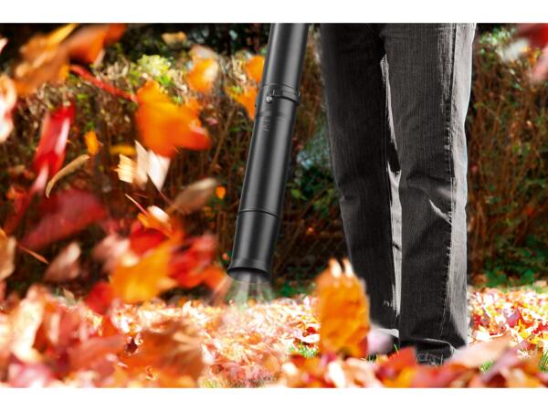 Petrol Leaf Blower