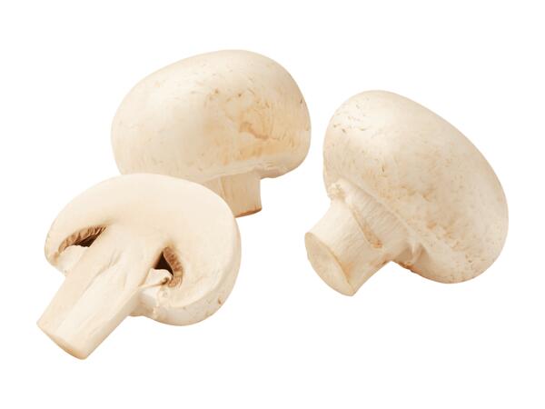 Champignons weiß