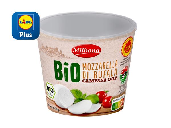 Mozzarella de bufflonne bio