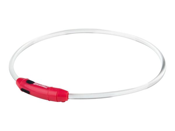 Zoofari LED Light-Up Dog Collar