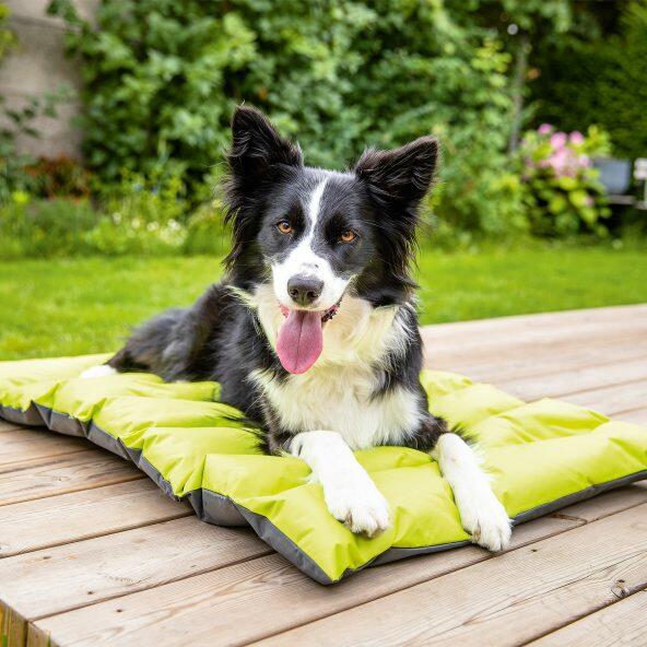 Outdoor-Hundekissen