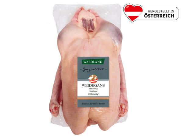 Waldland Frische Weidegans