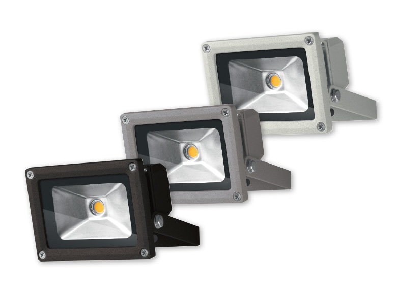 Livarno Lux 10W LED Light