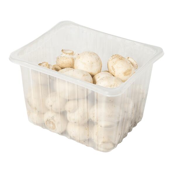 Champignons fins