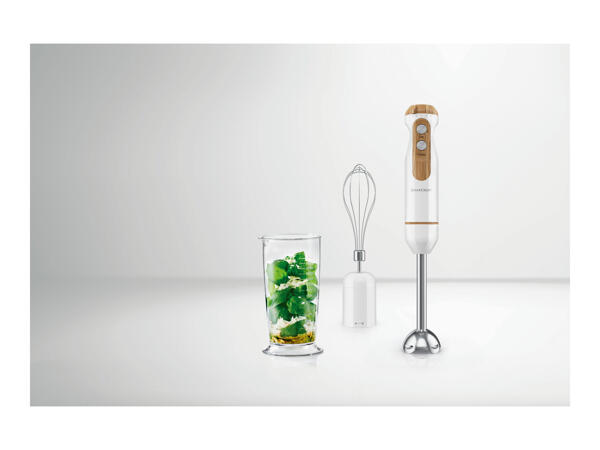 Silvercrest Hand Blender Set