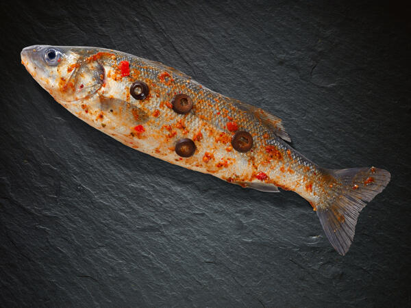 Branzino mediterraneo