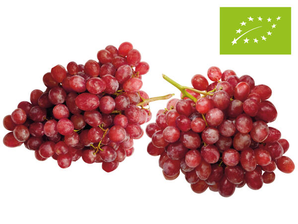 Bio Trauben rot, kernlos