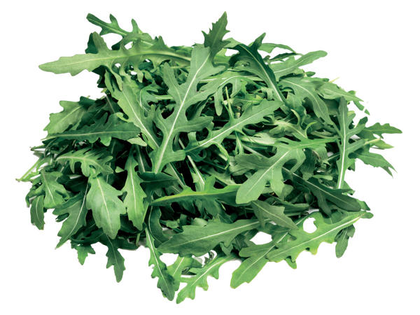 Rucola-Salat