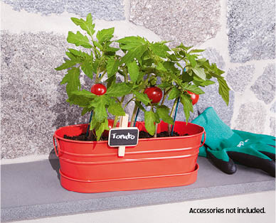 All-In-One Windowsill Garden Kit