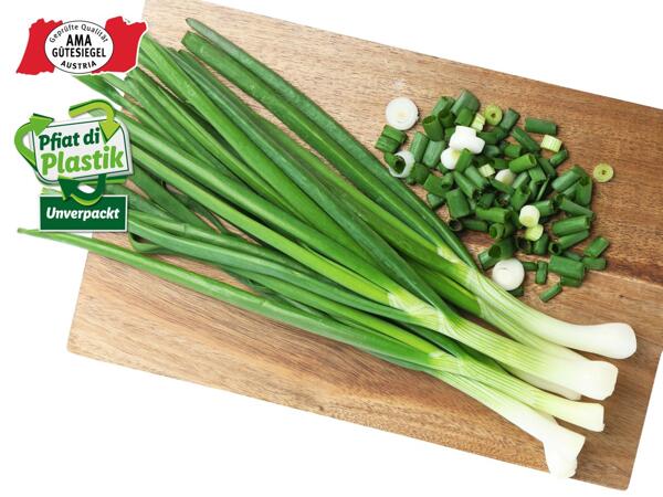 Jungzwiebeln aus Österreich