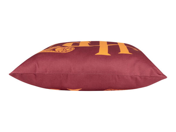 Harry Potter Cushion