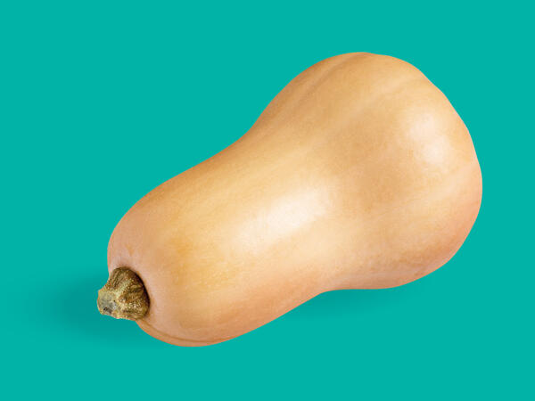 Butternut Squash