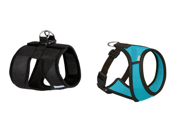 zoofari(R) Postroj pro psy