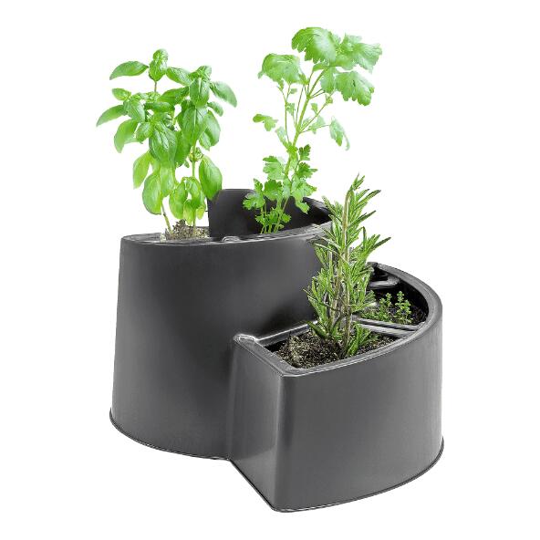 BELAVI(R) 				Spirale pour herbes aromatiques