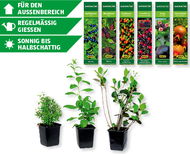 GARDENLINE(R) Obstmix