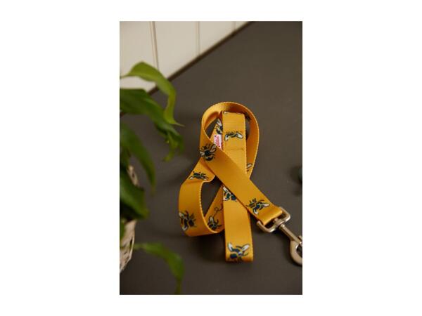 Pet Lead